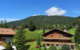 Hotel Gletscherblick Grindelwald